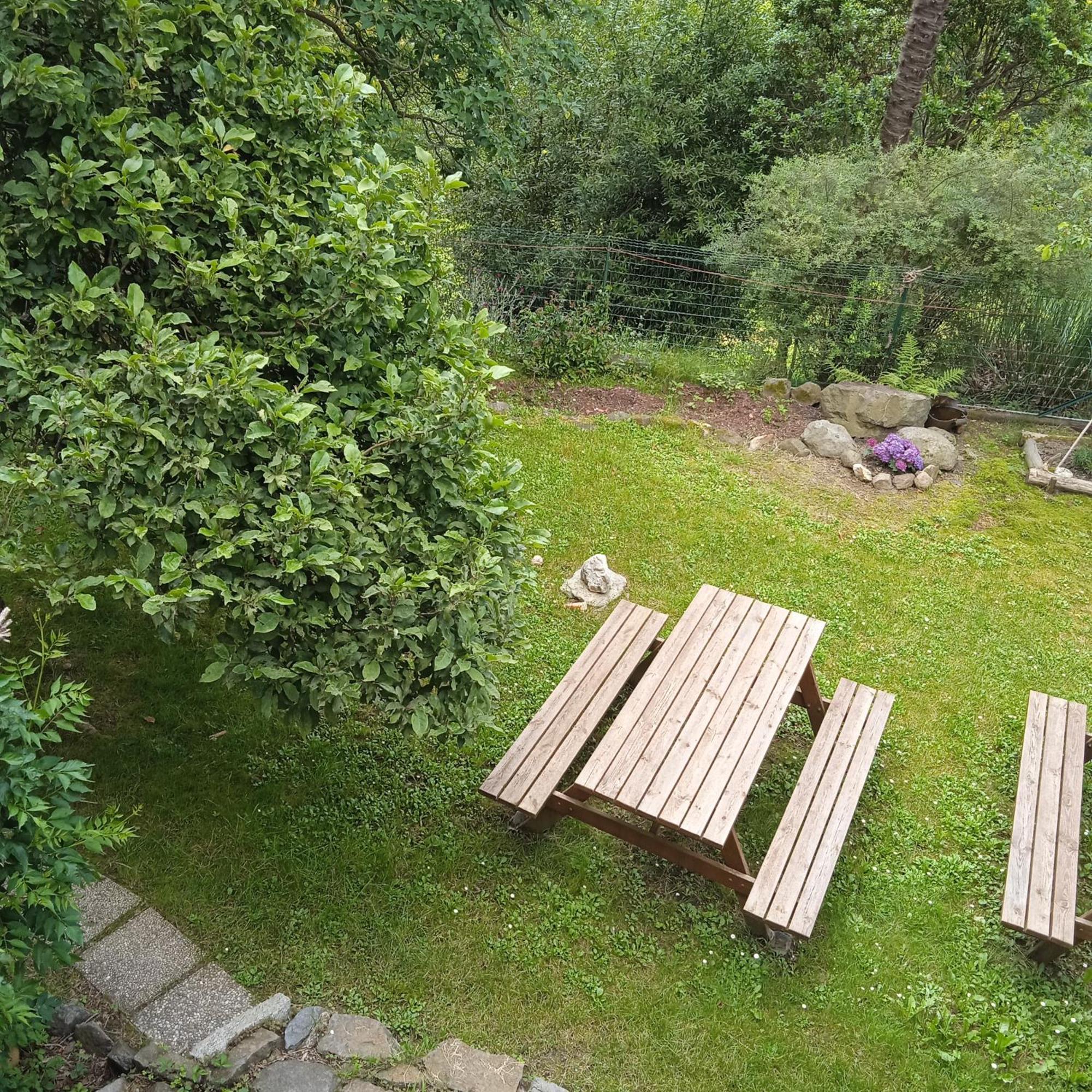 Il Canto Del Bosco Netro Kültér fotó