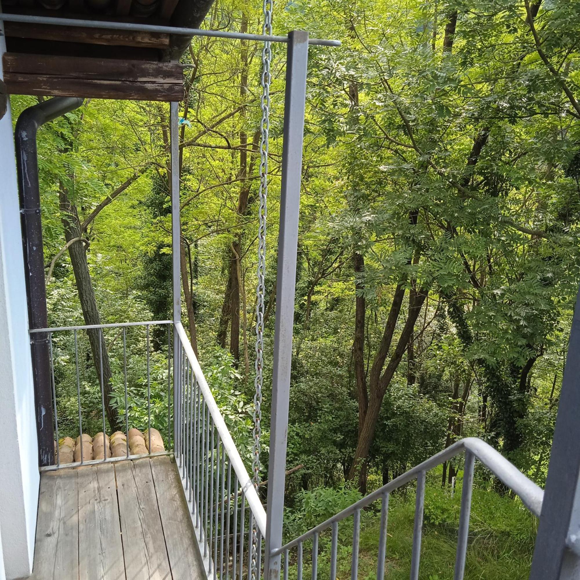 Il Canto Del Bosco Netro Kültér fotó