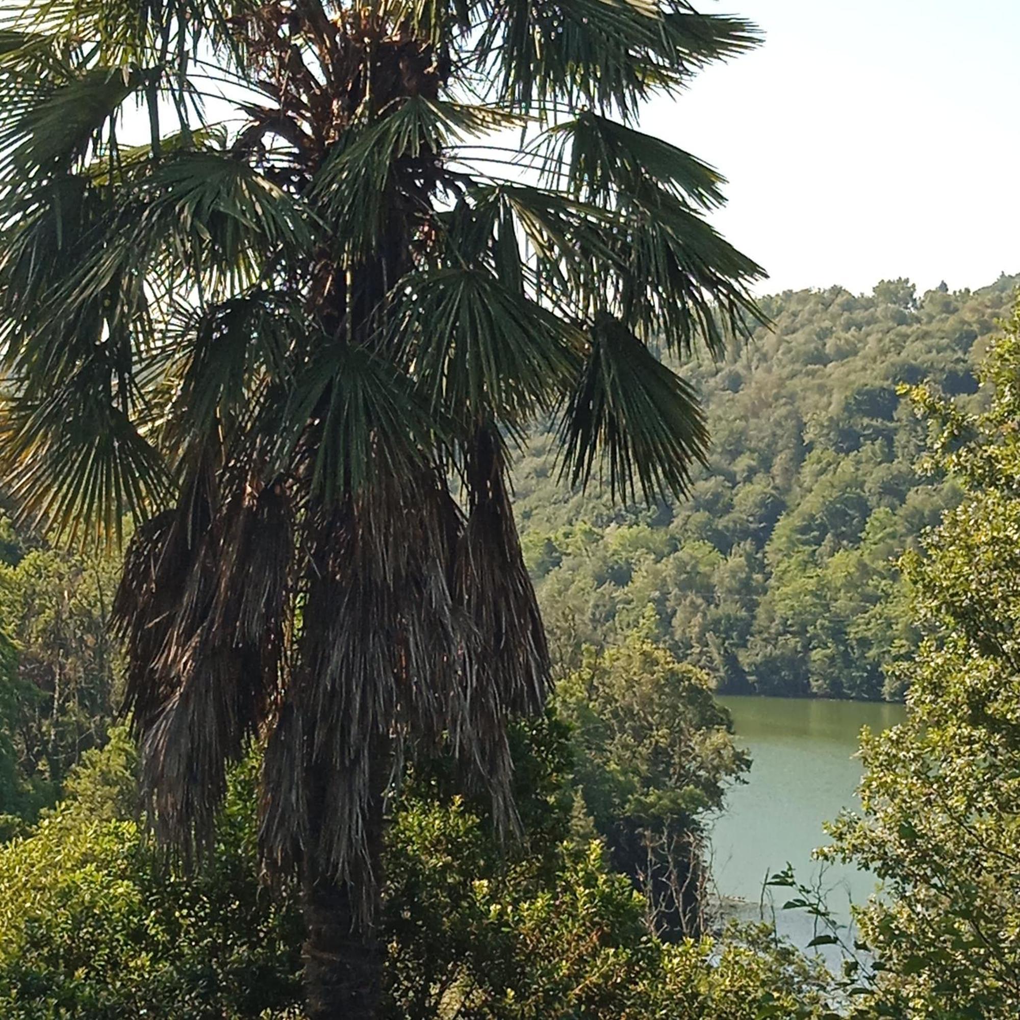 Il Canto Del Bosco Netro Kültér fotó